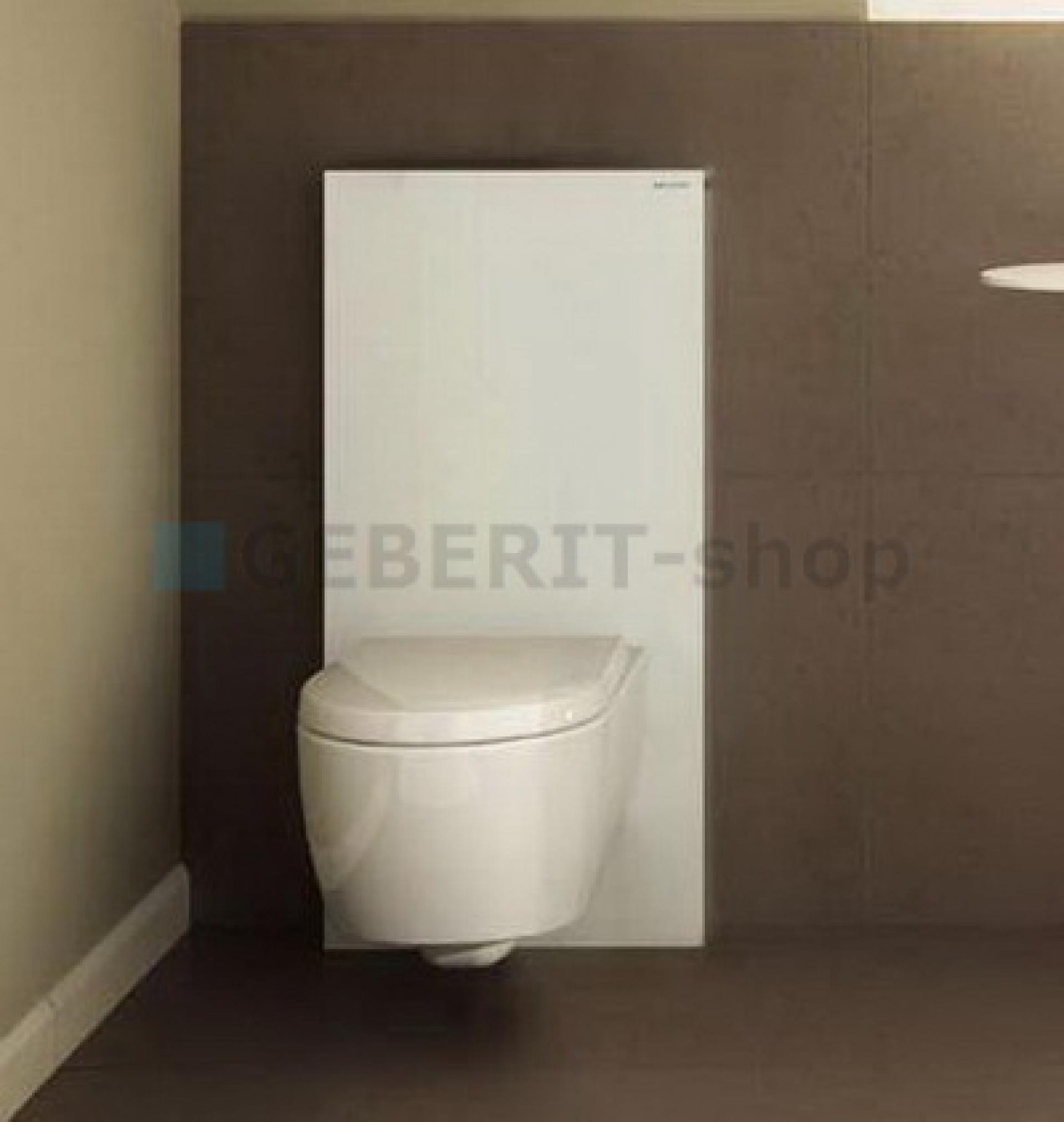 Сантехнический модуль Geberit Monolith Premium 131.021.SI.1 для подвесного унитаза, стекло белое. - фото Geberit (Геберит) Shop